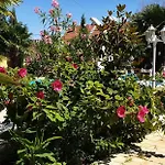 Holiday home Paradise-garden-zamardi *