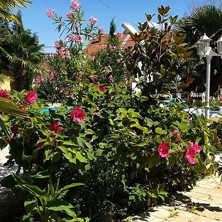 Semesterbostad Paradise-garden-zamardi *