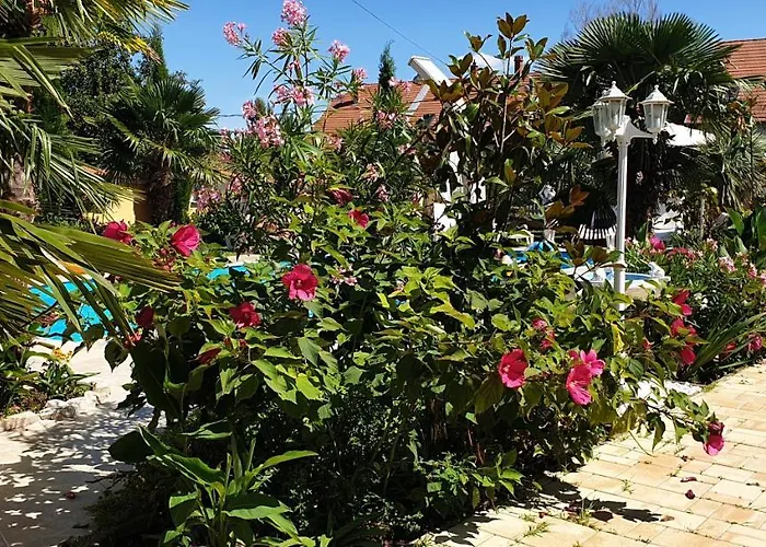 度假居 Paradise-garden-zamardi *