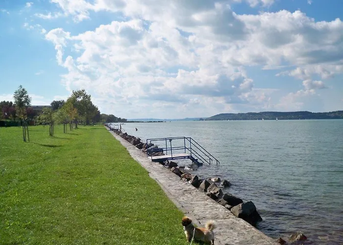 Paradise-garden-zamardi Zamárdi